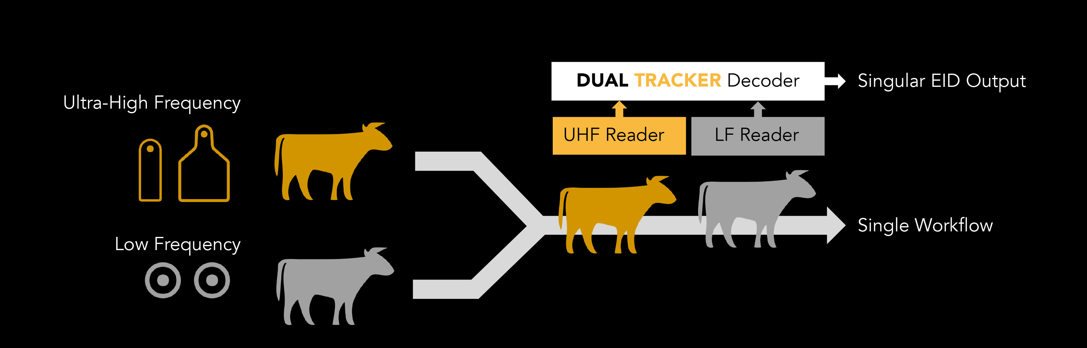 Dual Tracker Simplified Graphic Dark background