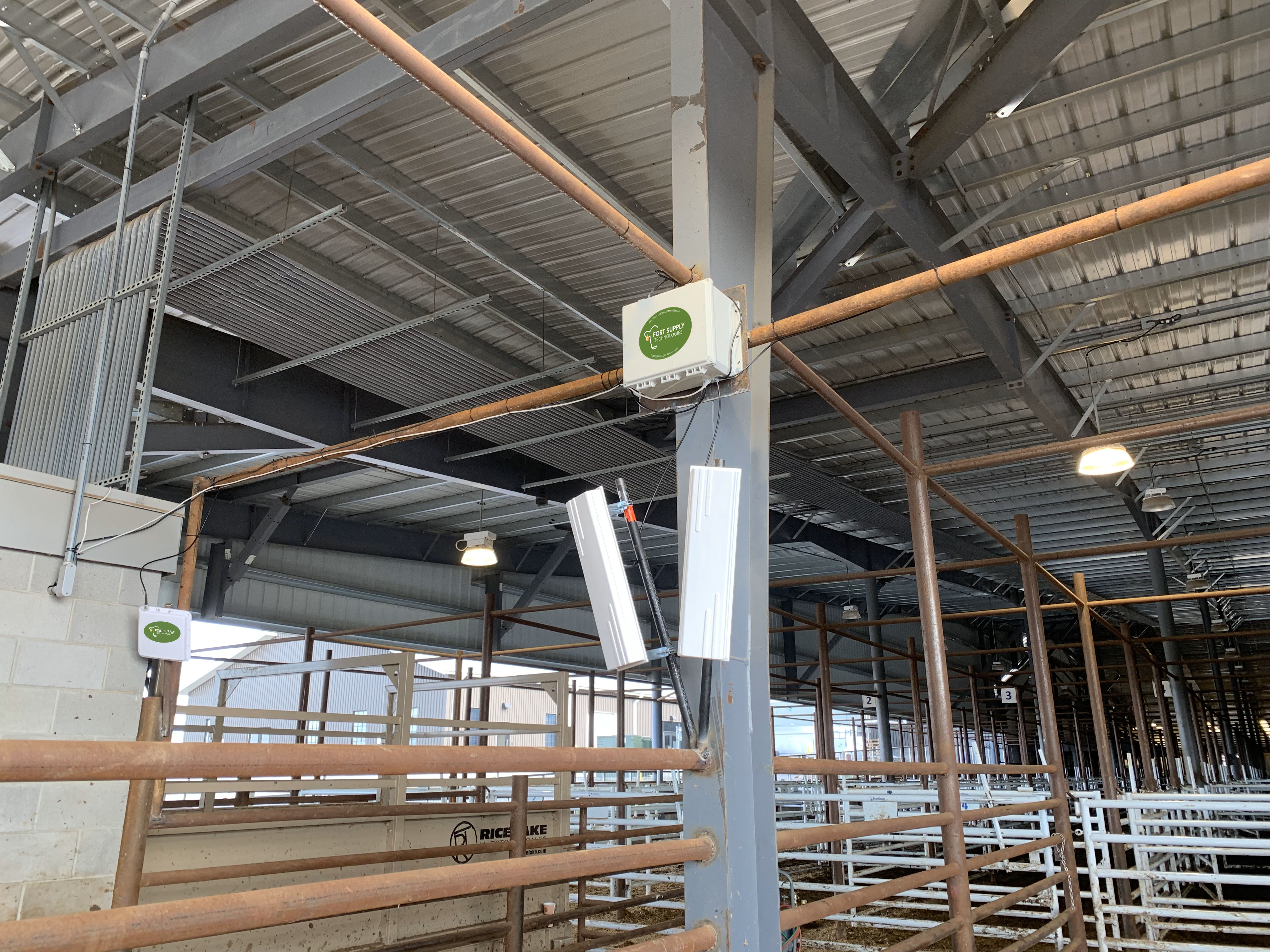 asset antena
