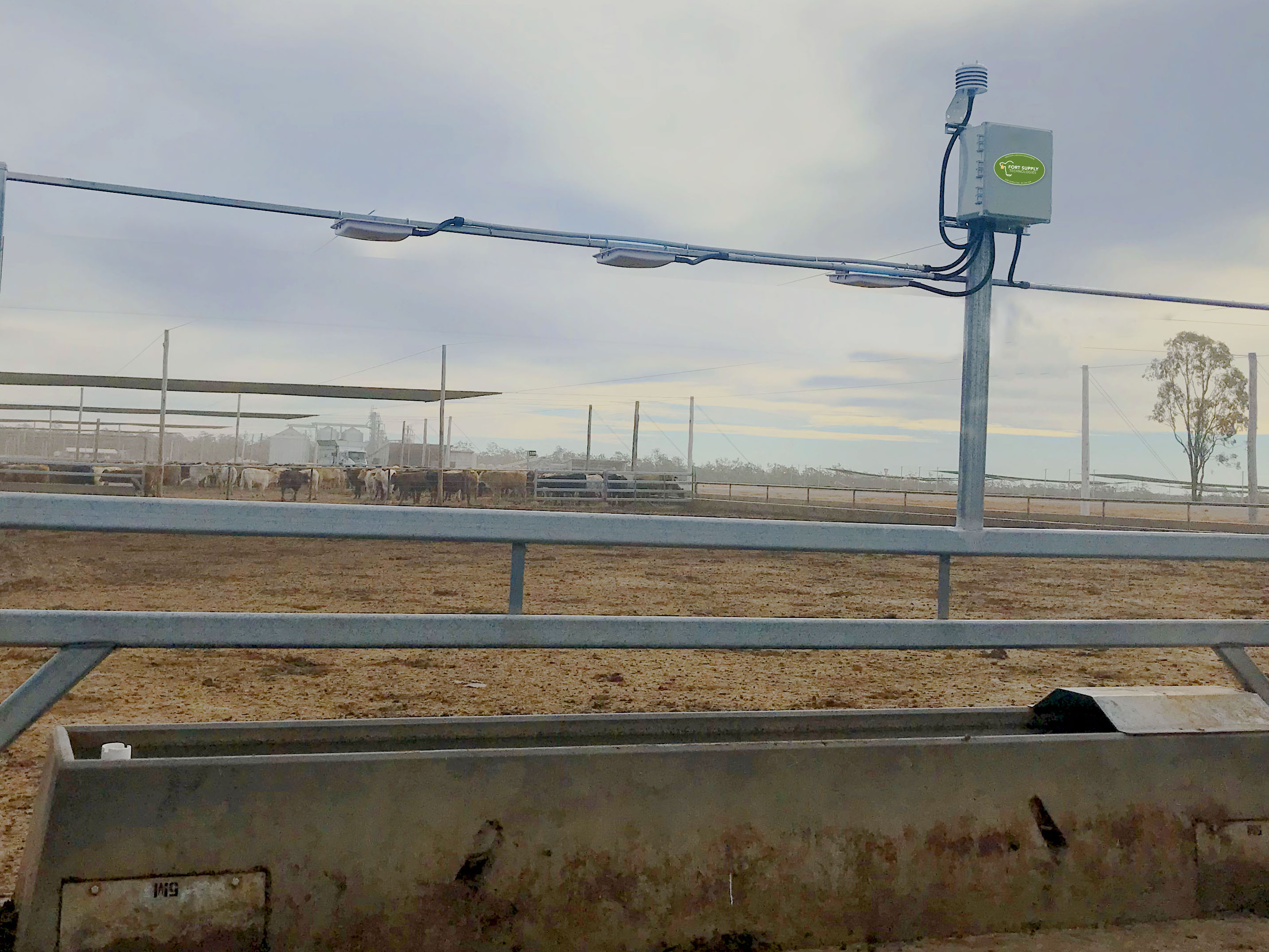 clearly a feedyard cropped