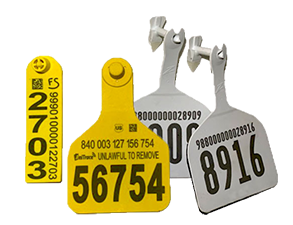 220211 tags small